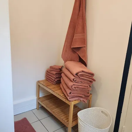 Bienvenue Aux Mouettes Bleues ! 滨海布洛涅