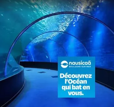 Apartmán T2 Familial Spacieux En Centre-ville *
