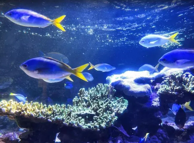 Apartment T2 Familial Spacieux En Centre-ville