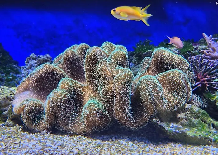 T2 Familial Spacieux En Centre-ville Apartment